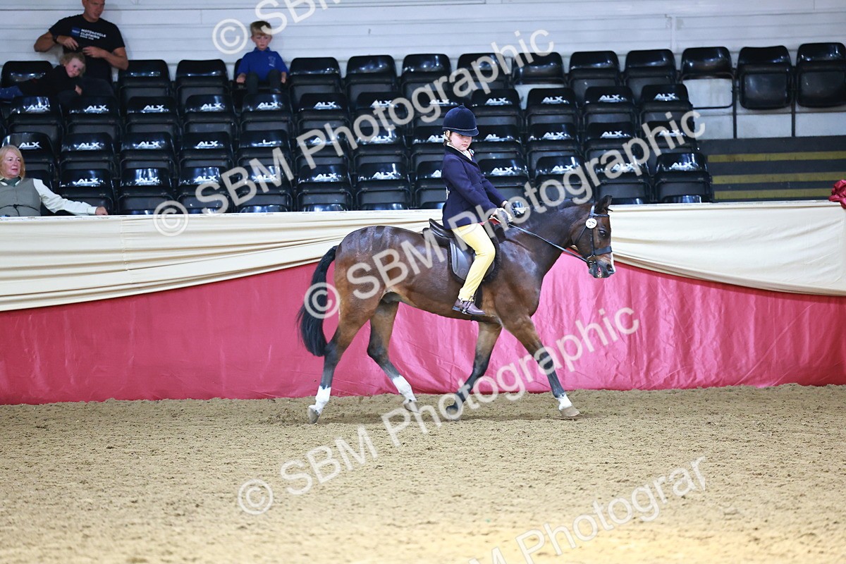 SBM_23189 - Class 904 - Supreme Final - Ridden Diamond