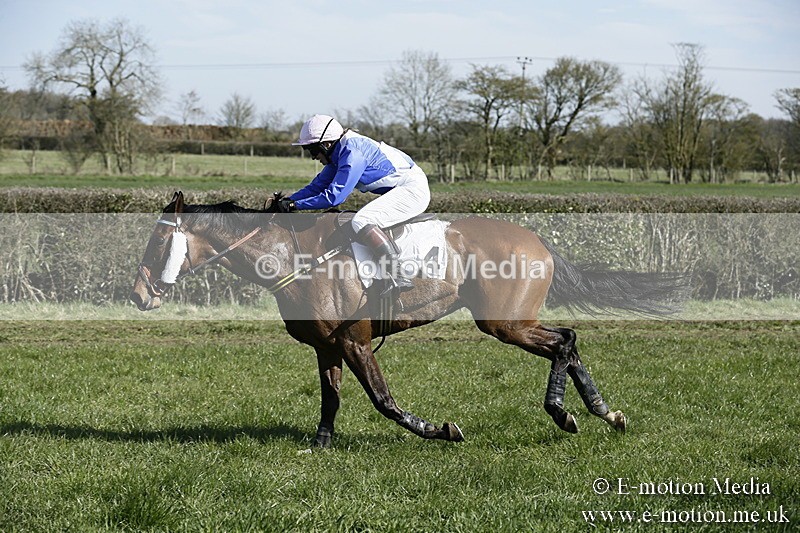 PtP 250317 46 - V.W.H. Hunt Point-to-Point Siddington 25/03/17