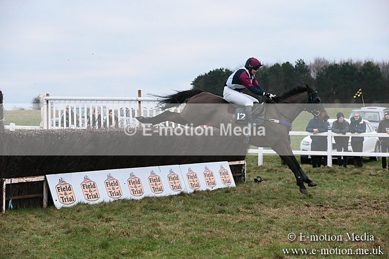 PtP 060119 589 - Larkhill Racing Club - Point-to-Point- 06/01/2019
