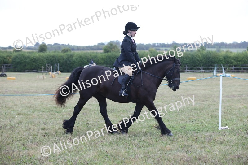 20250831-2389 - Class 16 - Family Pony