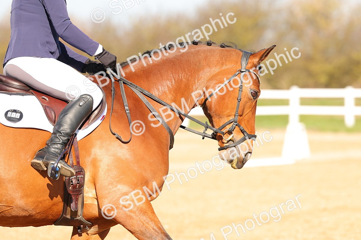 SBM_001430 - Class 2 - P1-70cm