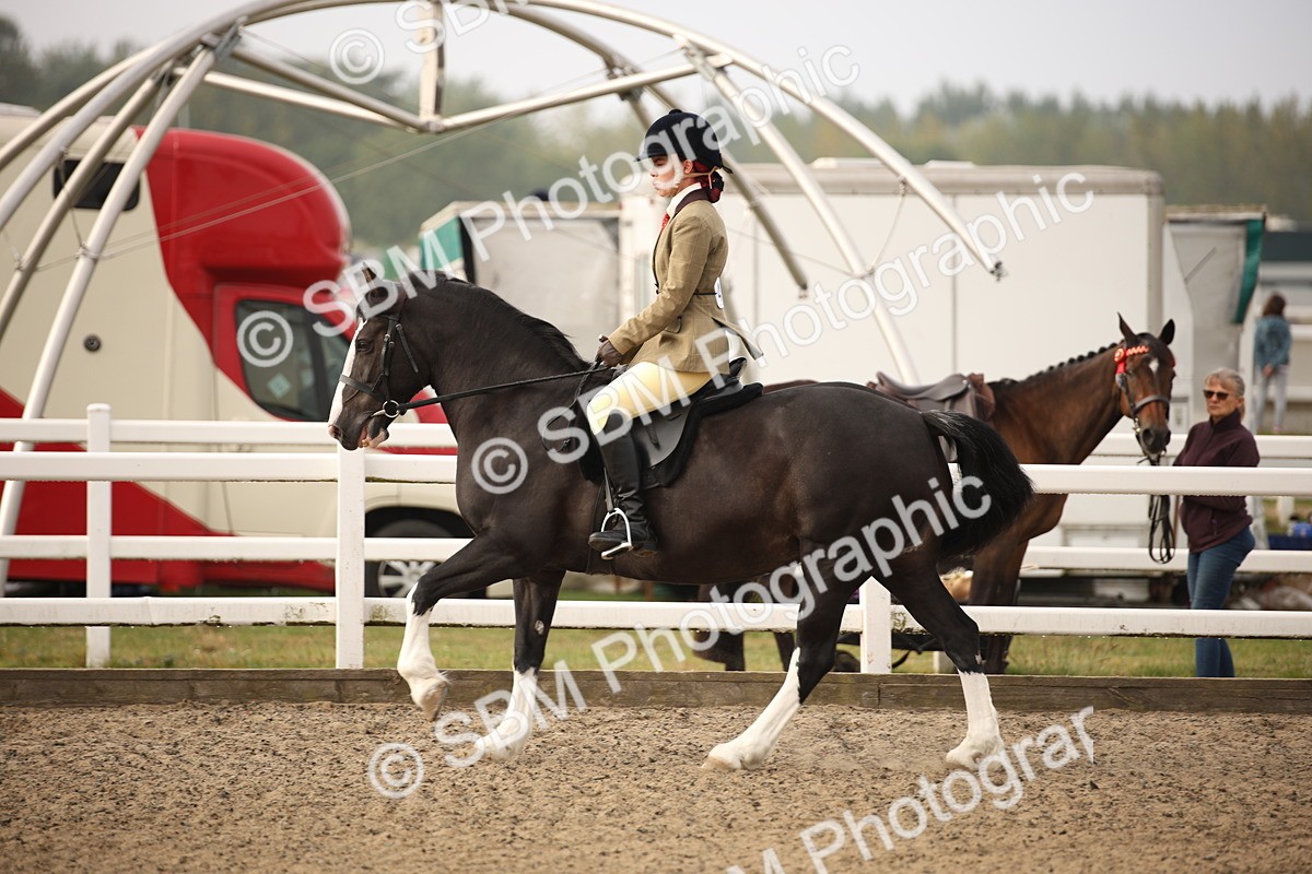 SBM_09761 - Class 401 Riding Club Pony