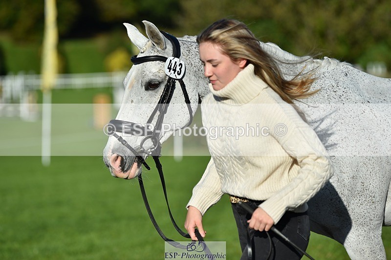 231022-101028-22287 - 443-OVERLEY.STORMBREAKER-Laney.Cridland-TrotUp+SJ