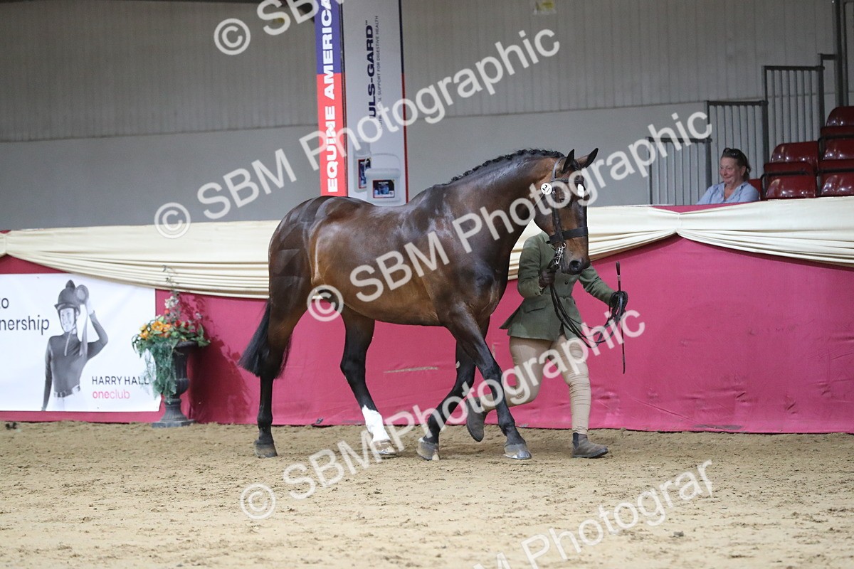 SBM_04996 - Class 8R- Regional -IH Veteran