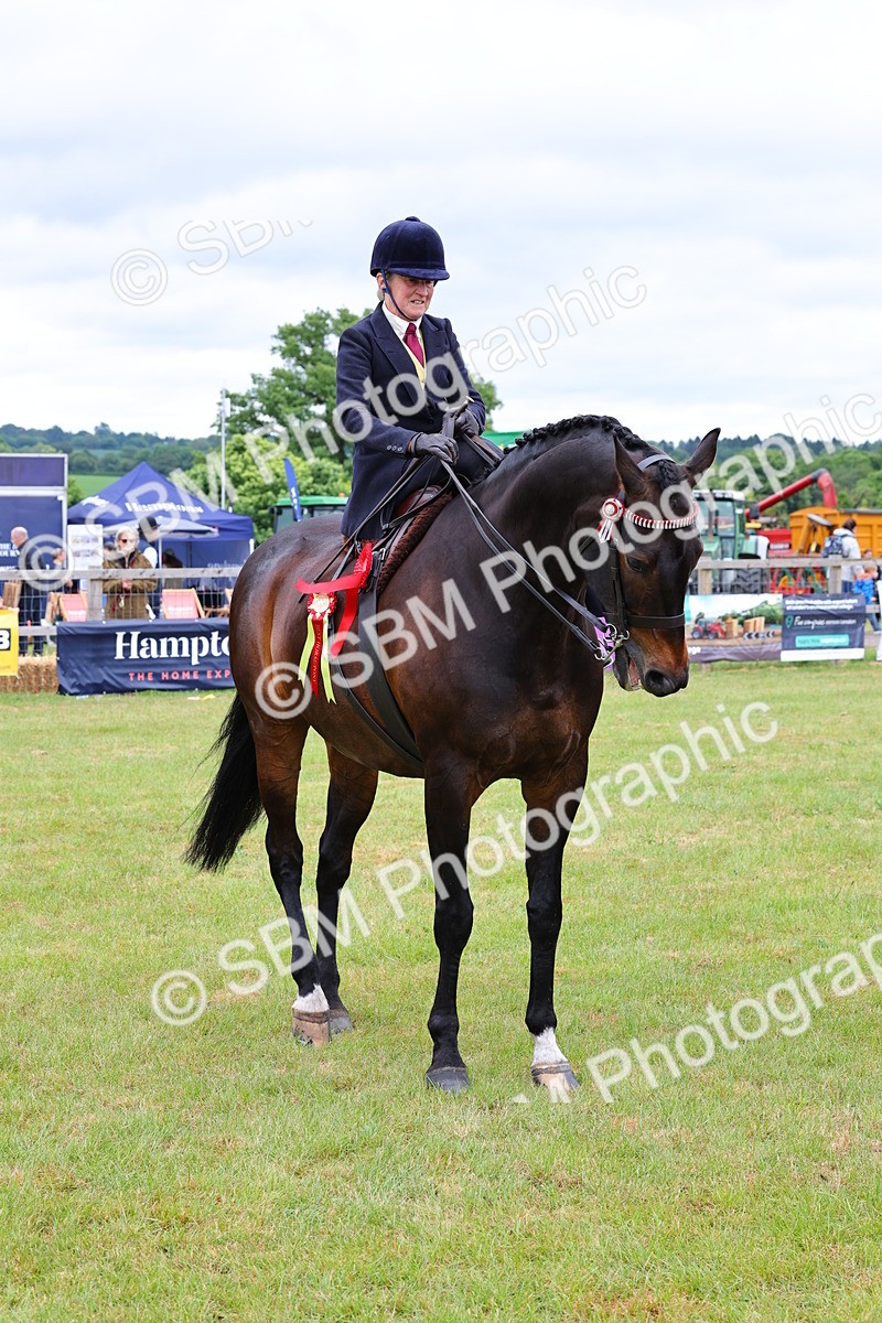 SBM_02837 - Class 9-11 Side Saddle including LIHS Rising Star Ladies Show Horse