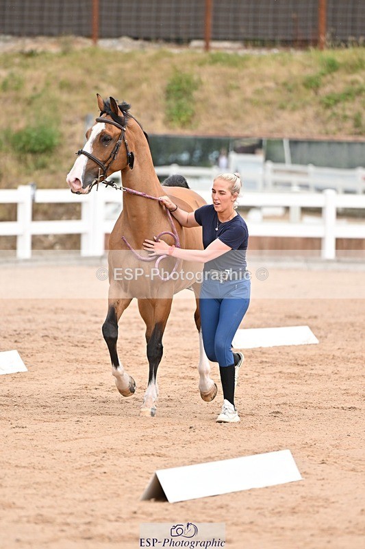 250716-151228-01767 - Trot Up 2.30 to 3.30