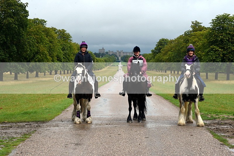 TT3_8612 - Time at Crossing 11:44 to 12:54