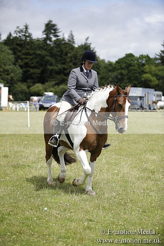 BVR160717-1919 - Ring 1 BVRC Show 16/07/17