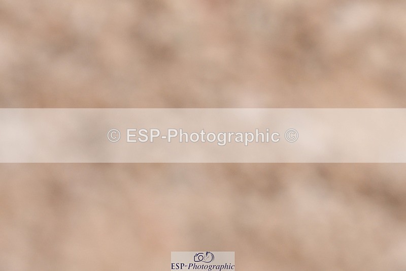 240107A-140351-02023 - UnAff Novice 28 and 30