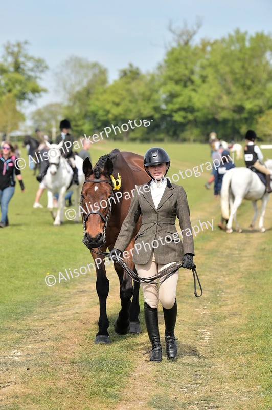 20260426-1189 - Class 19 - Retraining Of Racehorses