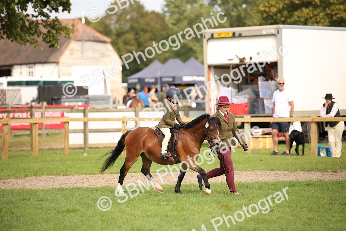 SBM_50021 - S26 - Young Veteran - Ridden
