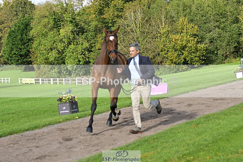 241023-131128-00121 - 006-Mark.Ford-ALVESCOT.FIVE.STAR