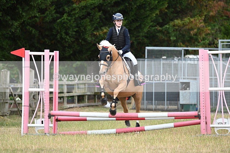 WJ6_9902 - Class 13 Novice Jumping 60cm