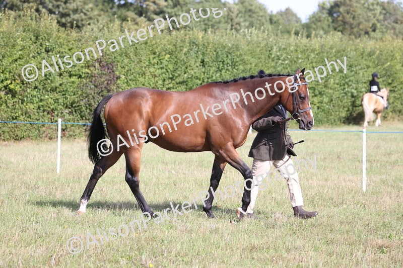 20260906-0649 - Class 22 - Ex Racehorse