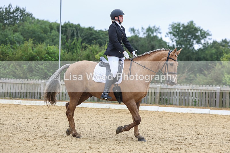 3E7A5043 - Class 2: Intro 4 2024 section B