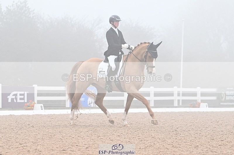 240217A-103252-01114 - 273-Tom.Carter-Newton.Dreamcatcher