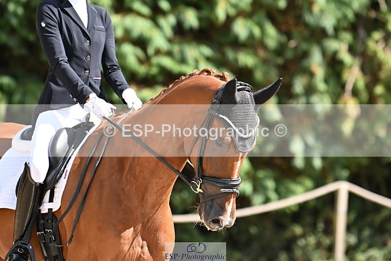 250808A-150113-01226 - 087-Lily.LaughtonZalando