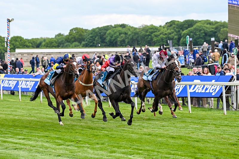 150526-Race 7-Portcullis-8732 - Race 7 5.15pm Darley EBF 'Confined' Novice Stakes
