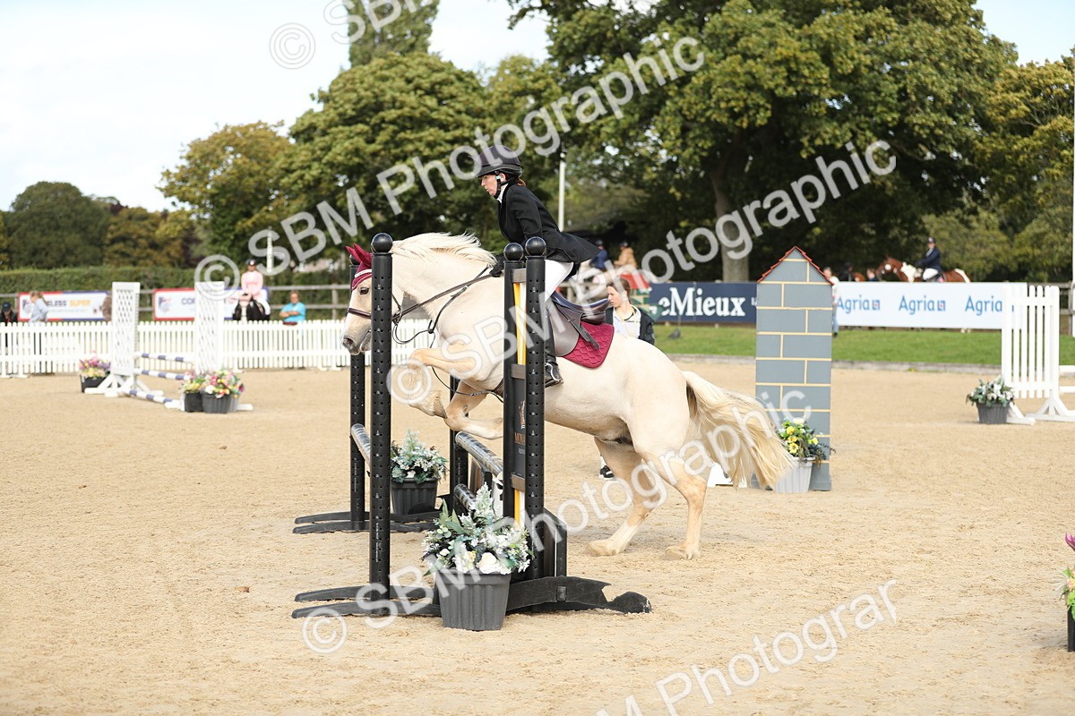 SBM_08484 - J30 - Senior Horse & Pony 70cm Championship