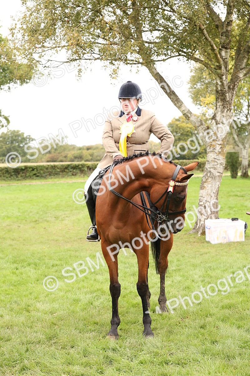 SBM_64341 - S65 - Riding Horse & Hack & Thoroughbred Ridden