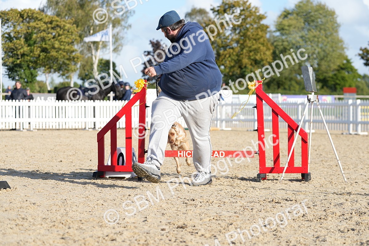 SBM_28981 - J43 - Horse & Hound Open 50cm