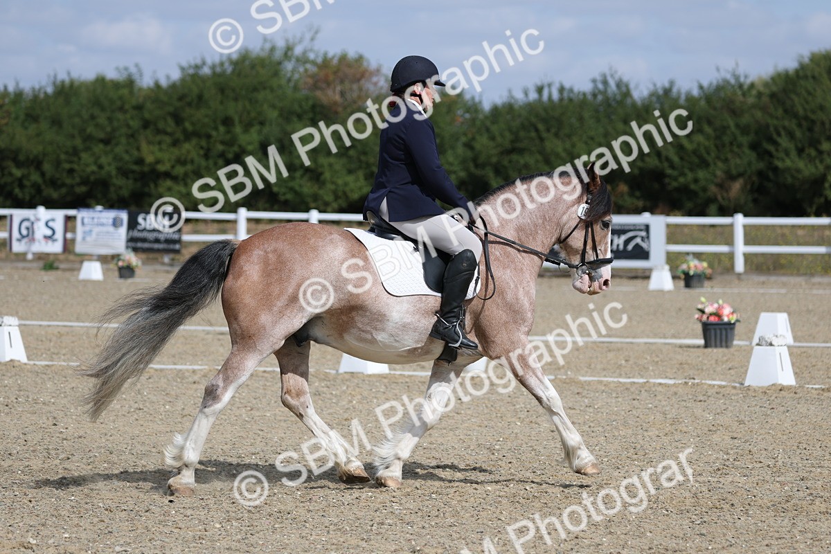 SBM_020918 - Class 21 - M5 Bronze 10.58.12.10