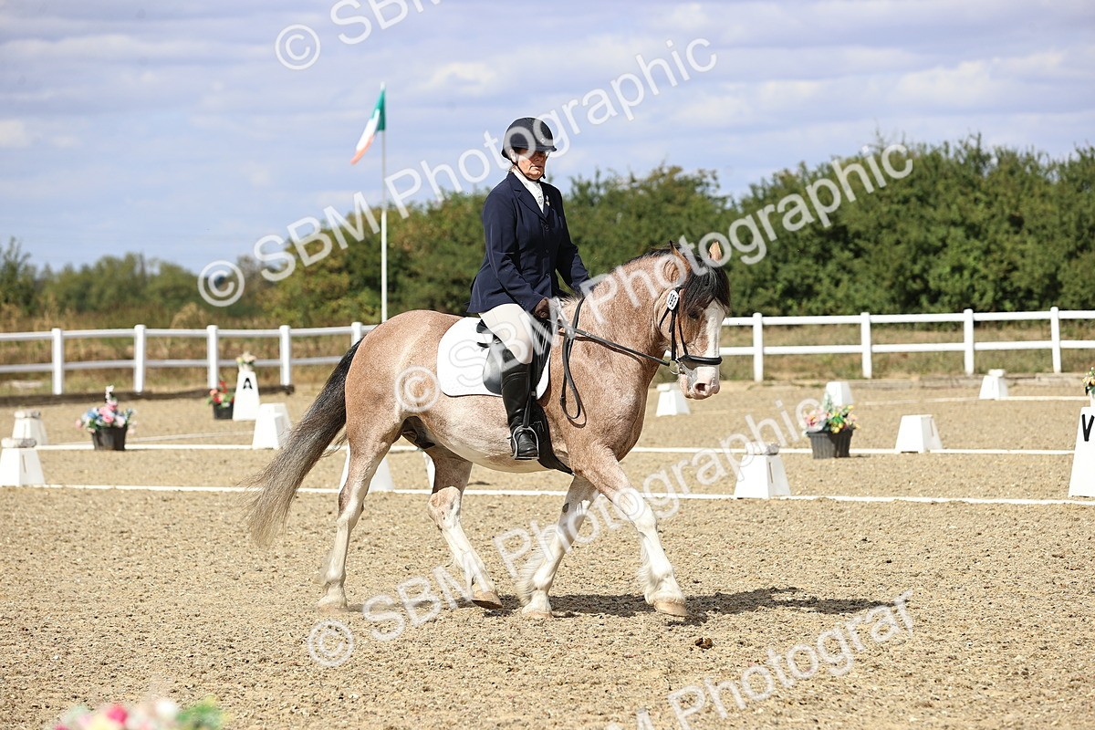 SBM_014554 - Class 5 - E5 Bronze 13.30.14.18