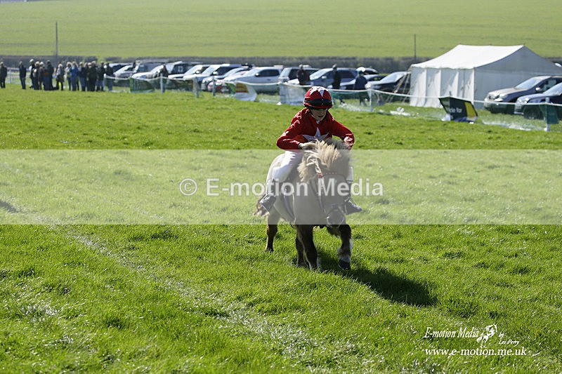 PtP 190322 30 - Wilton Hunt PtP Milborne St Andrew 19/03/22