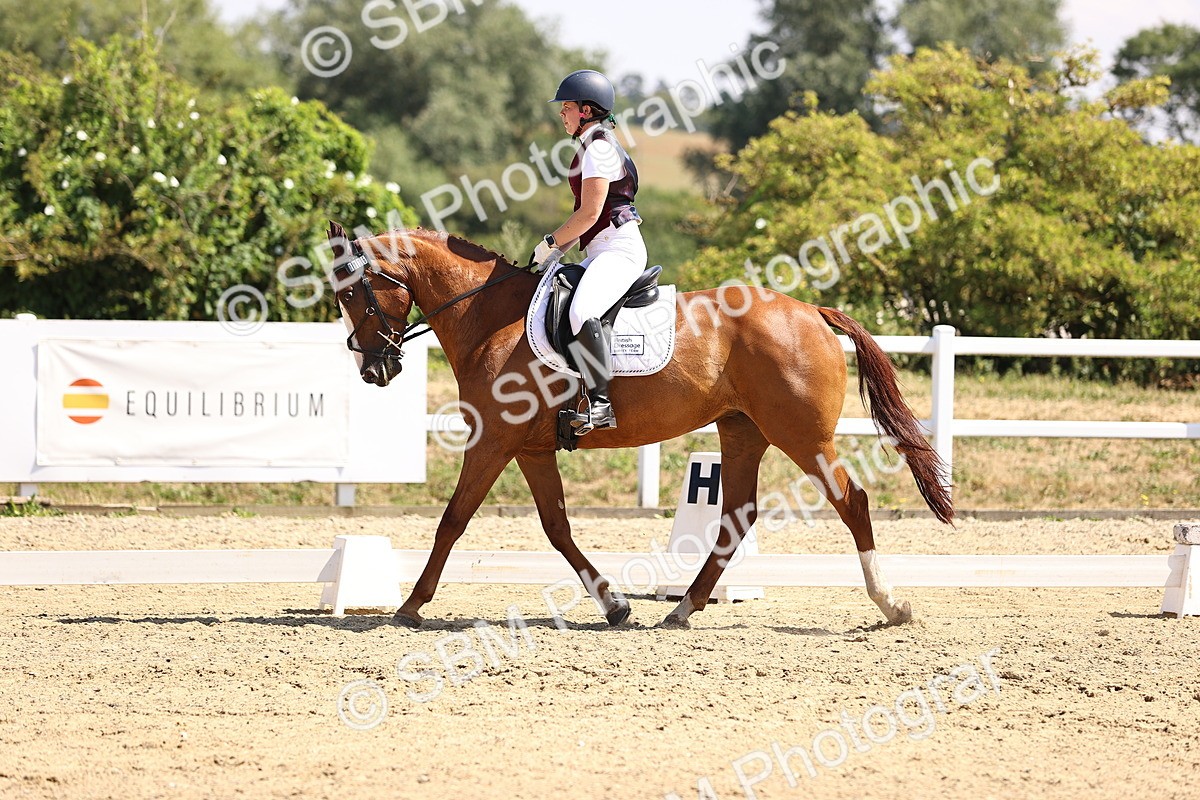 SBM_003701 - Intro 2