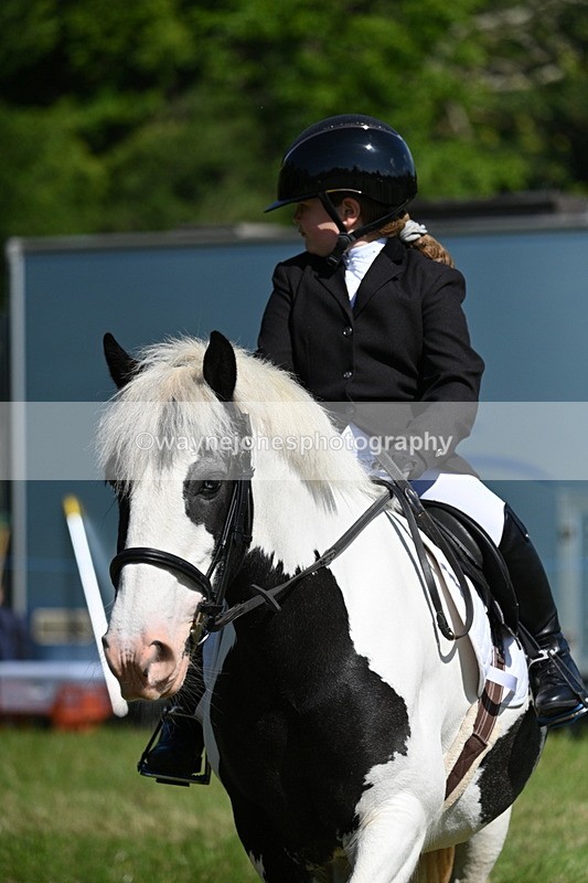 WJ7_0707 - Class 8 First Rally Pony