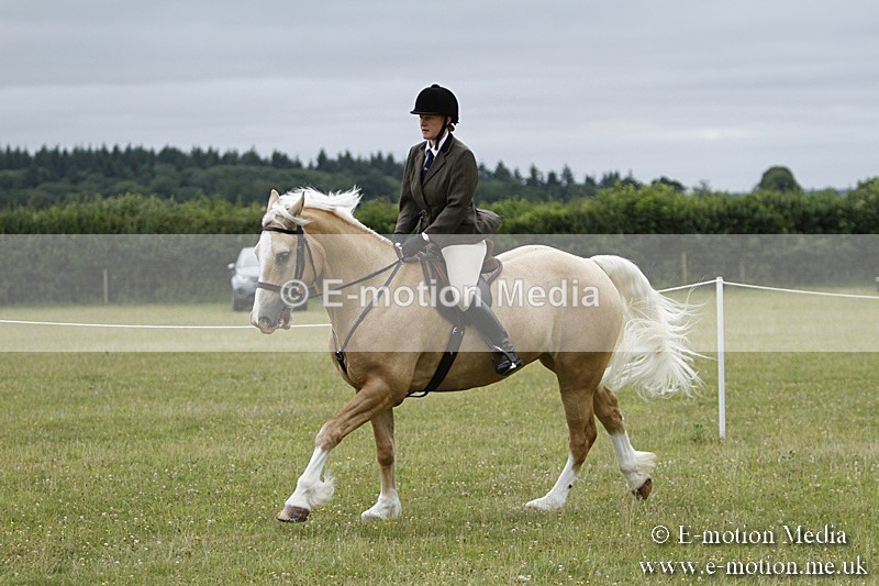 BVR160717-158 - Ring 3 BVRC Show 16/07/17