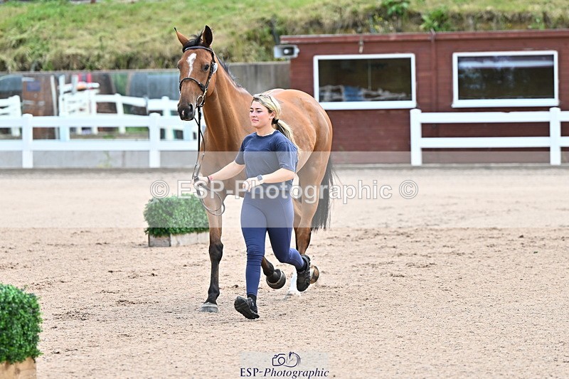 240718A-105236-00891 - Trot Up 11am to 12pm