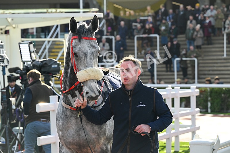241025-Race 4-The Last Cloud-3674 - Race 4