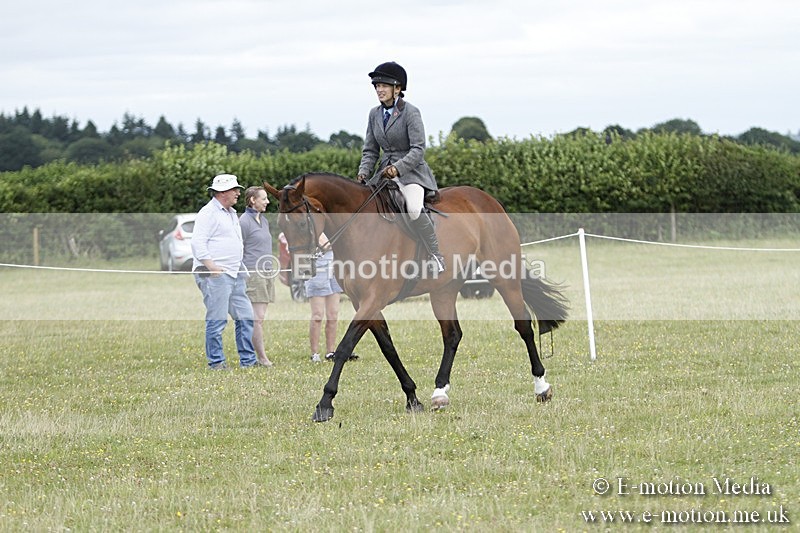 BVR160717-1787 - Ring 3 BVRC Show 16/07/17