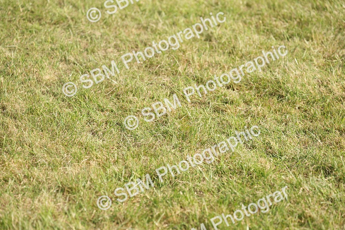 SBM_10412 - Class 33-38 - SSADL RIHS Qualifiers