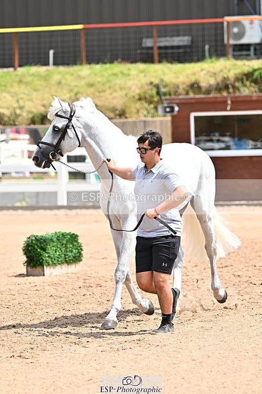 240718A-105306-01575 - Trot Up 1pm to 2pm