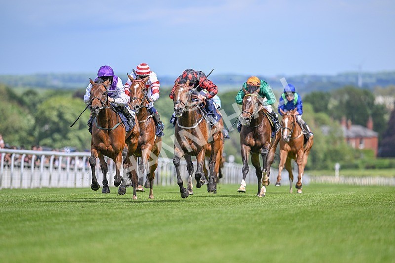 290524-Race 3-Puella Law-6381 - Race 3