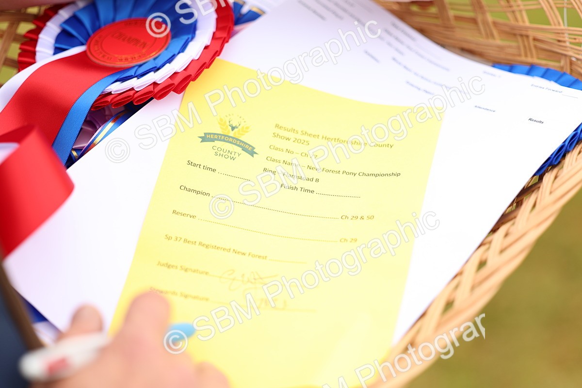 SBM_04304 - Class 64-67 - Shetland Pony In Hand