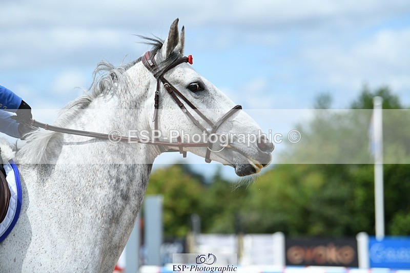 250801-125813-05429 - Cls 22 Nat Am 85