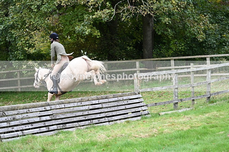 WJ7_4771 - Camera 1 Line 3