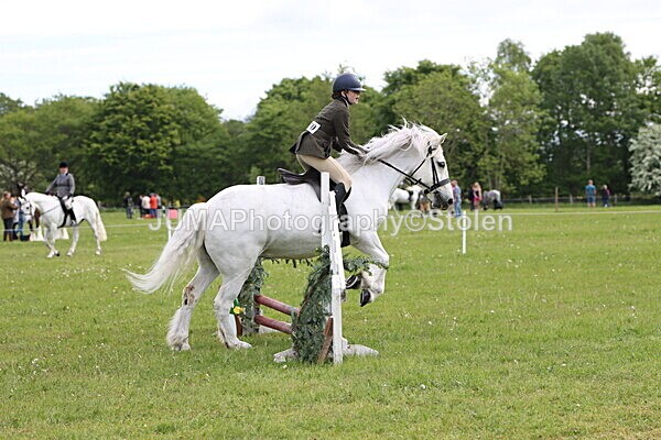 IMG_2510 - Working Hunter