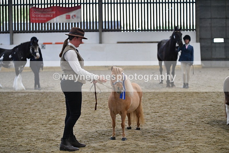 WJ5_5161 - Class 7 In hand coloured / odd coloured