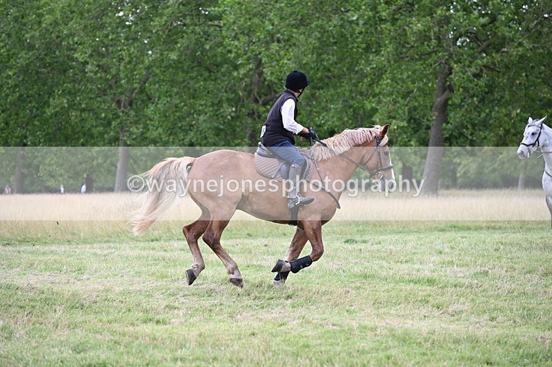 WJ6_4982 - Time at Jump 13:04 to 13:34