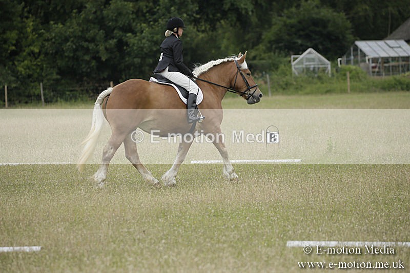 B230619-0015 - Bourne Valley Riding Club Summer Show 23/06/19