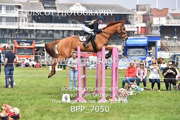 BPP_7050 - CLASS 3 RHS Fox Champ Qual (1.20m)