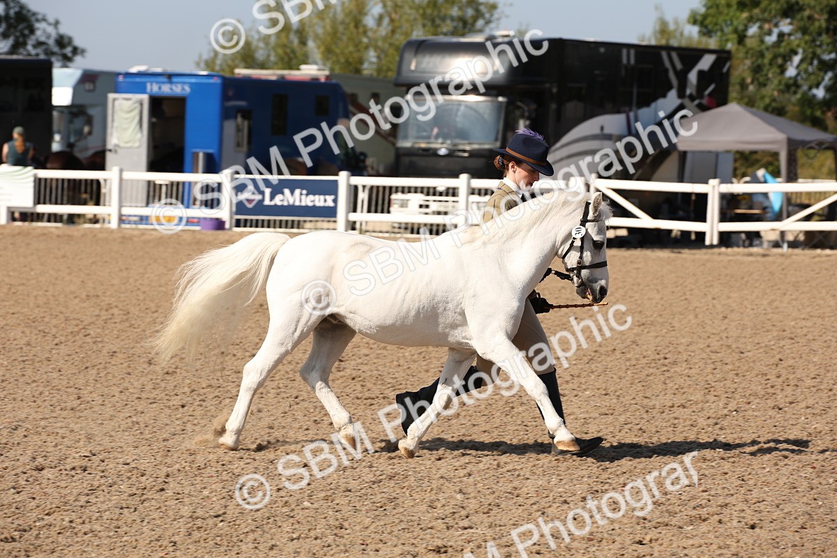 SBM_02782 - Class 16 IH M&M Wildcard