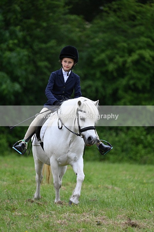 WJ7_4572 - Class 14B Prettiest Mare