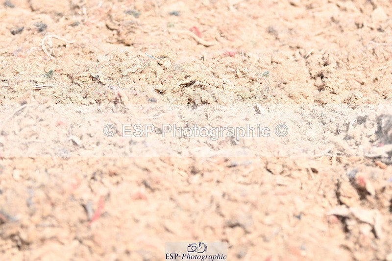 240621A-132705-03748 - Cls 8 BD Elementary 53