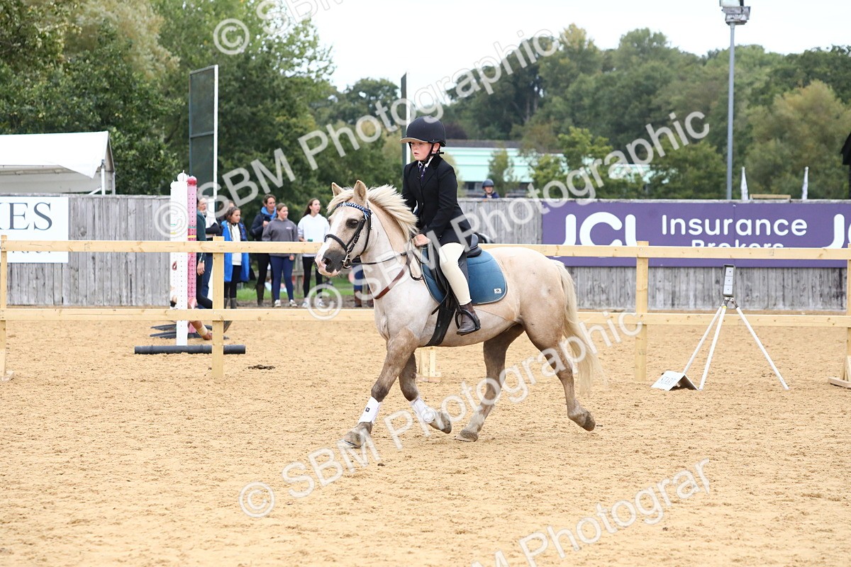 SBM_68174 - J3b - Mini Tour Junior Pony 40cm Championship