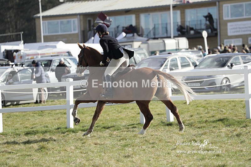 PtP 260223 800 - South & West Wilts Point-to-Point Larkhill 26/02/23